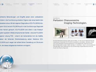 Geschäftsbericht Pulsion