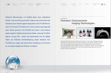 Geschäftsbericht Pulsion